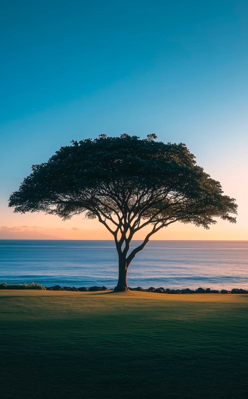 我的生活周记38-重启生活